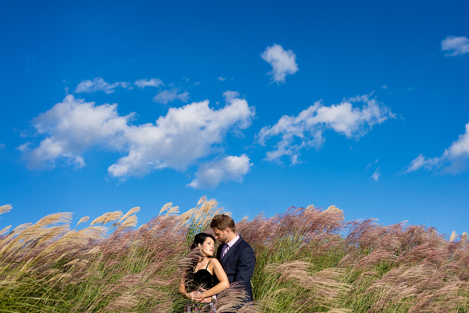 This engagement session was done at a boat dock in Maryland, the couple is standing in tall grass that is blowing to the right and the bride's head is turned to the right mimicking the movement of the grass, Procopio Photography, best top Washington DC photographer, best top Maryland photographer, best top Virginia photographer, best top DMV photographer, best top wedding photographer, best top commercial photographer, best top portrait photographer, best top boudoir photographer, modern fine art portraits, dramatic, unique, different, bold, editorial, photojournalism, award winning photographer, published photographer, memorable images, be different, stand out, engagement photography
