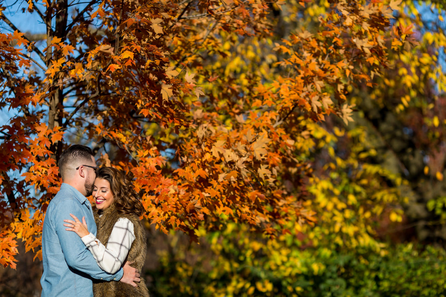 This engagement session was in Frederick Maryland, we were at a park in the fall, you can see a gorgeous orange and yellow tree in the background and the couple cuddling and laughing in the foreground, she is in a seasonal fall vest, Procopio Photography, best top Washington DC photographer, best top Maryland photographer, best top Virginia photographer, best top DMV photographer, best top wedding photographer, best top commercial photographer, best top portrait photographer, best top boudoir photographer, modern fine art portraits, dramatic, unique, different, bold, editorial, photojournalism, award winning photographer, published photographer, memorable images, be different, stand out, engagement photography