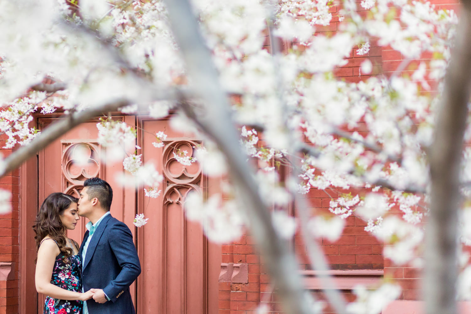 This was taken in Chinatown, Washington DC, they are standing in front of pink mauve church doors and kissing, They are framed by beautiful white cherry blossom trees, The groom is Asian, Procopio Photography, best top Washington DC photographer, best top Maryland photographer, best top Virginia photographer, best top DMV photographer, best top wedding photographer, best top commercial photographer, best top portrait photographer, best top boudoir photographer, modern fine art portraits, dramatic, unique, different, bold, editorial, photojournalism, award winning photographer, published photographer, memorable images, be different, stand out, engagement photography