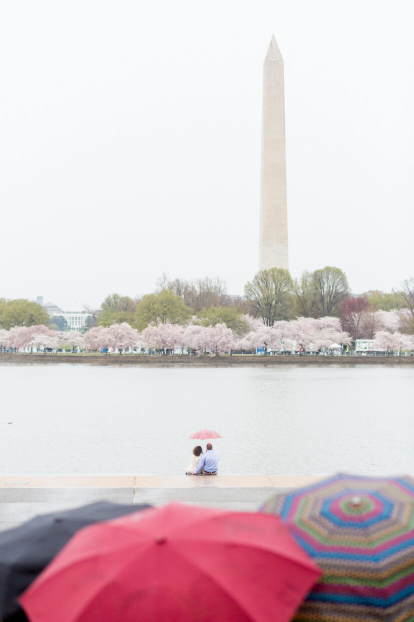 Cherry blossoms in DC, Cherry blossom festival, tidal basin, this is a vertical image showing the Washington Monument in the background, the couple is very tiny sitting on the water's edge in the middle of the frame under an umbrella and in the foreground, there is a crowd of people but all you see is their umbrellas that are framing the couple, you can see the cherry blossoms far off into the distance surrounding the Washington Monument, it was a rainy morning on the tidal basin, sunrise session, Procopio Photography, best top Washington DC photographer, best top Maryland photographer, best top Virginia photographer, best top DMV photographer, best top wedding photographer, best top commercial photographer, best top portrait photographer, best top boudoir photographer, modern fine art portraits, dramatic, unique, different, bold, editorial, photojournalism, award winning photographer, published photographer, memorable images, be different, stand out, engagement photography