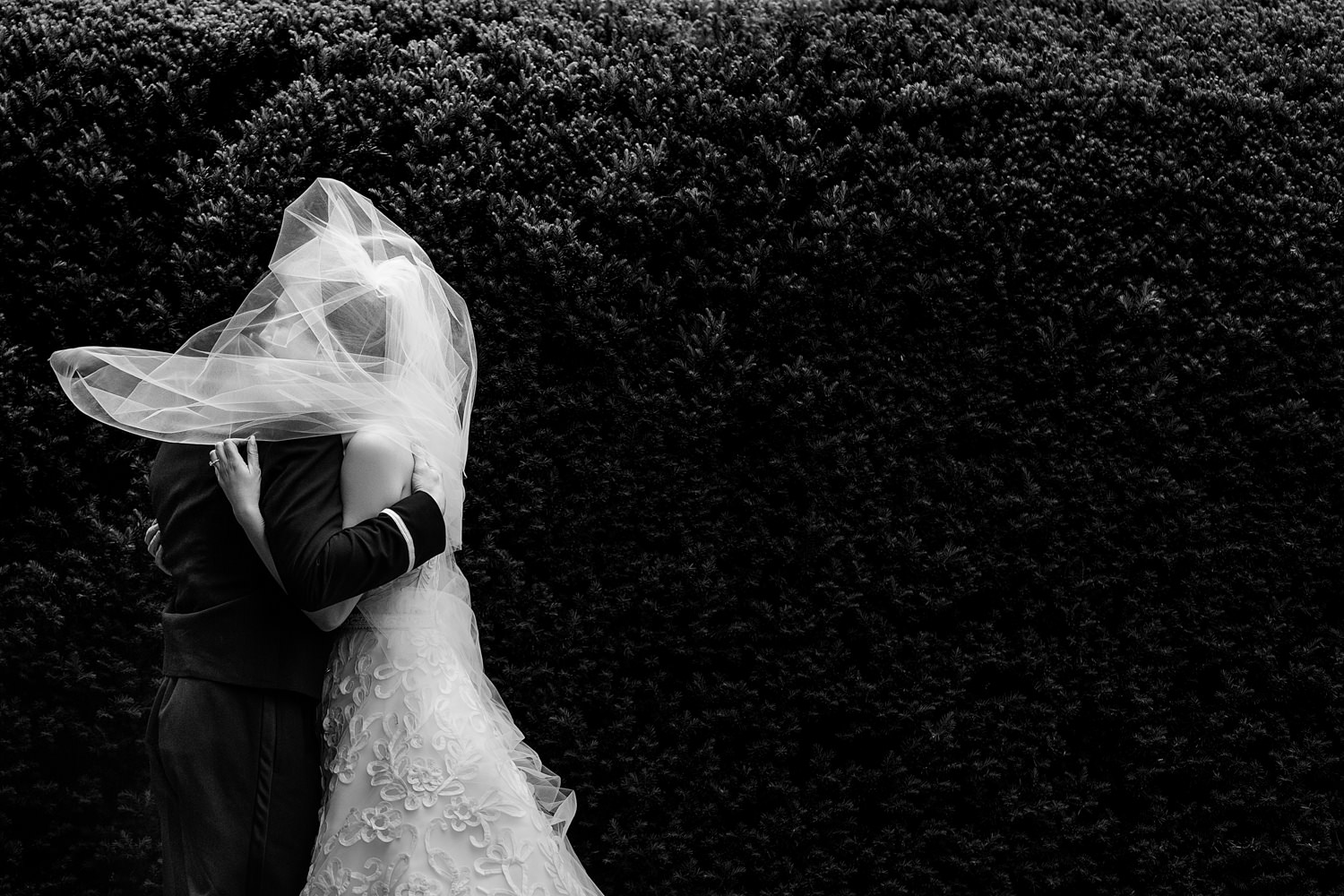 This was at an electric first look, The two didn't stop hugging even when a giant gust of wind blew the bride's veil over her head, This black and white photo is of the couple embracing in front of a foliage background, It is a minimal image with maximum effect, striking, Catching the moment, Procopio Photography, best top Washington DC photographer, best top Maryland photographer, best top Virginia photographer, best top DMV photographer, best top wedding photographer, best top commercial photographer, best top portrait photographer, best top boudoir photographer, modern fine art portraits, dramatic, unique, different, bold, editorial, photojournalism, award winning photographer, published photographer, memorable images, be different, stand out