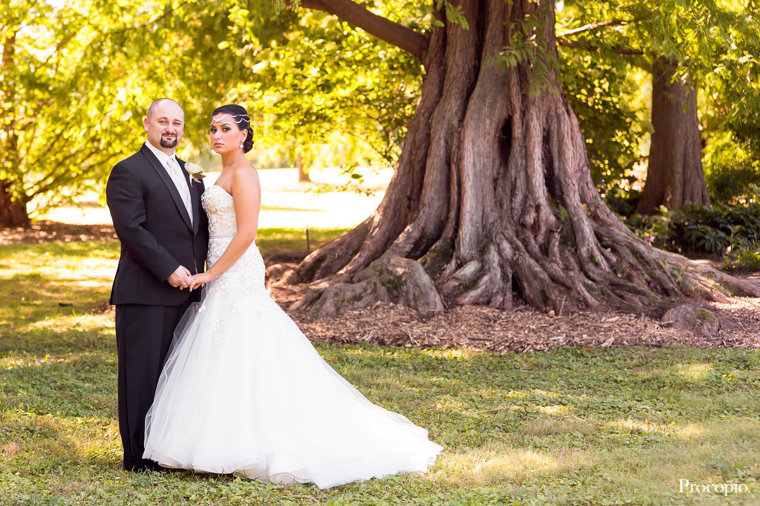 Procopio-Photography-Baltimore-Maryland-Wedding-For-The-Blog-Cylburn-Arboretum-000.jpg