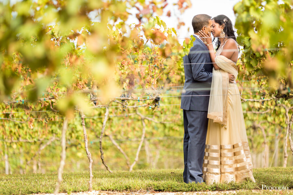 Running Hare Vineyard, Leesburg, Virginia, Indian couple, Indian bride and groom, bicycle wedding theme, cyclists, outdoorsy, wedding colors are pink, orange, peach, tan, outdoor ceremony, indoor reception, cream and gold Indian Wedding gown, fall wedding, Procopio Photography, best top Washington DC photographer, best top Maryland photographer, best top Virginia photographer, best top DMV photographer, best top wedding photographer, best top commercial photographer, best top portrait photographer, best top boudoir photographer, modern fine art portraits, dramatic, unique, different, bold, editorial, photojournalism, award winning photographer, published photographer, memorable images, be different, stand out