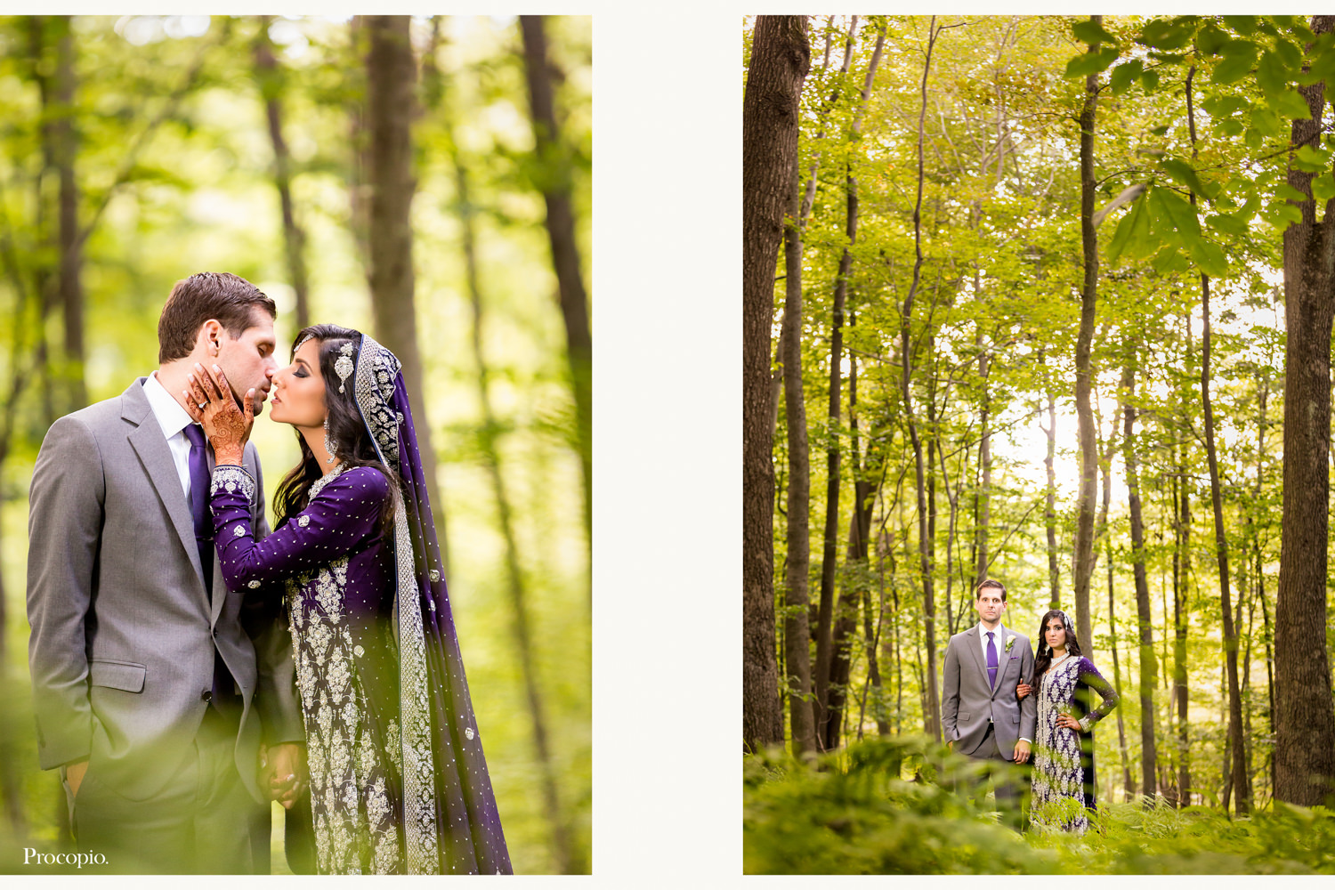 Mountain Memories at Thorpewood, Thurmont, MD, wedding colors are blue purple and white, Indian bride, Jewish groom, this couple is from NYC, Manhattan, New York City, the bride wore an American wedding gown and then changed into a traditional Indian wedding dress for the reception, outdoor ceremony in the pine cathedral, indoor reception, Procopio Photography, best top Washington DC photographer, best top Maryland photographer, best top Virginia photographer, best top DMV photographer, best top wedding photographer, best top commercial photographer, best top portrait photographer, best top boudoir photographer, modern fine art portraits, dramatic, unique, different, bold, editorial, photojournalism, award winning photographer, published photographer, memorable images, be different, stand out