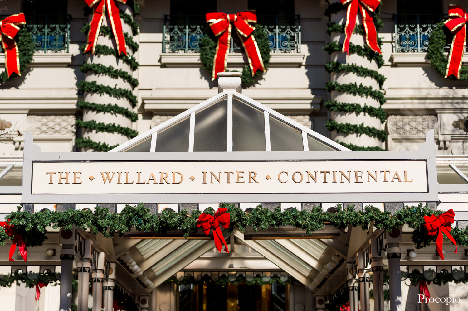The Willard InterContinental Hotel, Washington DC, St. Dominic’s Catholic Church, Christmas wedding, winter wedding, New Year’s Wedding, wedding colors are red, green, gold, pink, blush, and white, church ceremony, indoor reception, musician, Procopio Photography, best top Washington DC photographer, best top Maryland photographer, best top Virginia photographer, best top DMV photographer, best top wedding photographer, best top commercial photographer, best top portrait photographer, best top boudoir photographer, modern fine art portraits, dramatic, unique, different, bold, editorial, photojournalism, award winning photographer, published photographer, memorable images, be different, stand out
