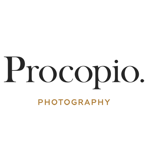 Washington DC Baltimore Wedding Photographer - Procopio Photography
