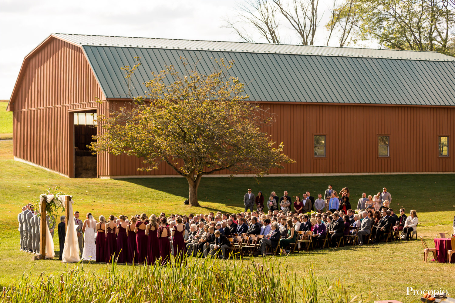 Naylor's Farm Wedding Photography Procopio Photography