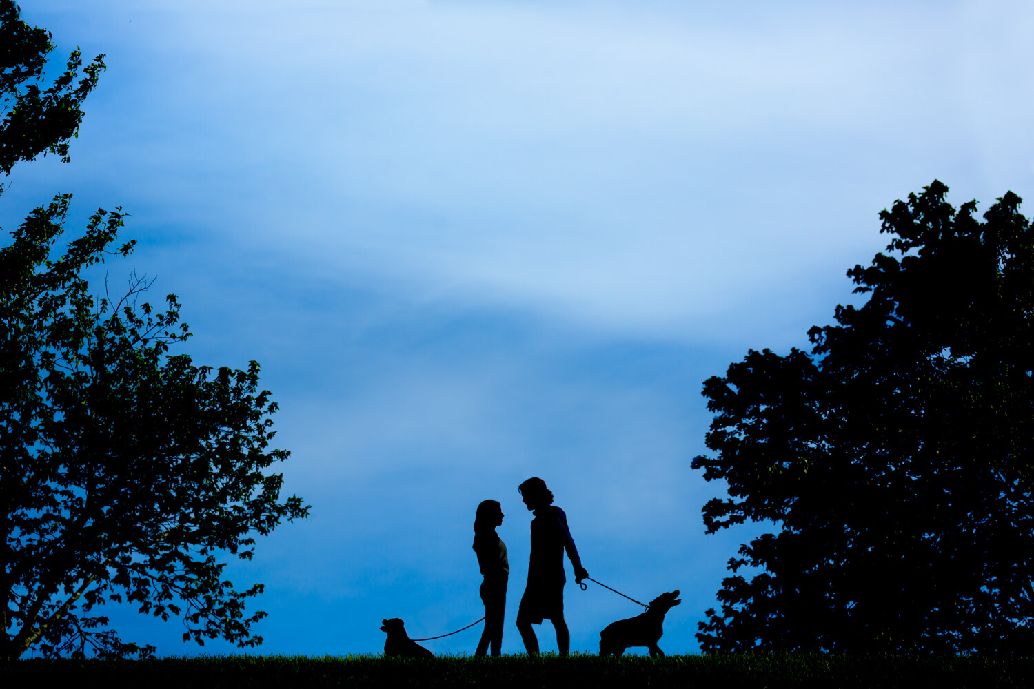 Washington DC Wedding Photographer, DC Wedding Photographer, Washington District of Columbia Wedding Photographer, Award Winning Wedding Photographer, Procopio Photography, Procopio Photo, Top Wedding Photographer, DMV Wedding Photographer, Wedding photography Washington DC, Wedding photography DMV, Best wedding photographer Washington DC, Best wedding photographer DMV, Engagement session, House shoot, engagement session in your house, unique engagement sessions, summer, Baltimore, Maryland, dogs at the engagement session, two dogs, a pointer and a pug mix