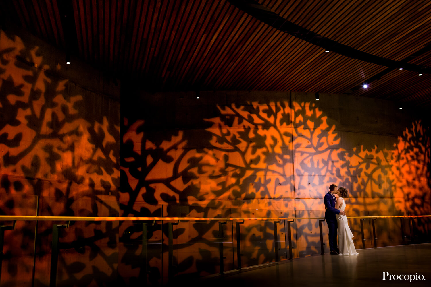 Orange colored projection of leaves  -Bella Notte - best Washington DC wedding planner - photo by Procopio Photography