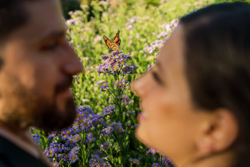 Procopio Photography, best top Washington DC photographer photography, best top Maryland photographer photography, best top Virginia photographer photography, best top DMV photographer photography, best top commercial photographer photography, best top wedding photographer photography, best top portrait photographer photography, best top boudoir photographer photography, modern fine art portraits, dramatic, unique, different, bold, editorial, photojournalism, award winning photographer, published photographer, memorable images, be different, stand out, luxe wedding, luxury wedding, luxury portraits, luxury boudoir, bespoke, unique engagement session, natural looking portraits, Best locations for engagement sessions in Washington Fairfax, Virginia, painting at your engagement session, park, butterfly, epic sunset, waterfront