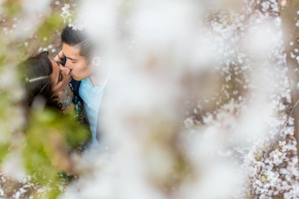 Procopio Photography, best top Washington DC photographer photography, best top Maryland photographer photography, best top Virginia photographer photography, best top DMV photographer photography, best top commercial photographer photography, best top wedding photographer photography, best top portrait photographer photography, best top boudoir photographer photography, modern fine art portraits, dramatic, unique, different, bold, editorial, photojournalism, award winning photographer, published photographer, memorable images, be different, stand out, luxe wedding, luxury wedding, luxury portraits, luxury boudoir, bespoke, unique engagement session, natural looking portraits, Best locations for engagement sessions in Washington DC, Chinatown, City Center, cherry blossoms