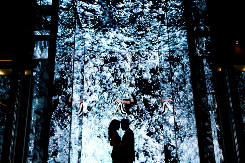 Procopio Photography, best top Washington DC photographer photography, best top Maryland photographer photography, best top Virginia photographer photography, best top DMV photographer photography, best top commercial photographer photography, best top wedding photographer photography, best top portrait photographer photography, best top boudoir photographer photography, modern fine art portraits, dramatic, unique, different, bold, editorial, photojournalism, award winning photographer, published photographer, memorable images, be different, stand out, luxe wedding, luxury wedding, luxury portraits, luxury boudoir, bespoke, unique engagement session, natural looking portraits, Best locations for engagement sessions in Washington DC, Chinatown, City Center, cherry blossoms