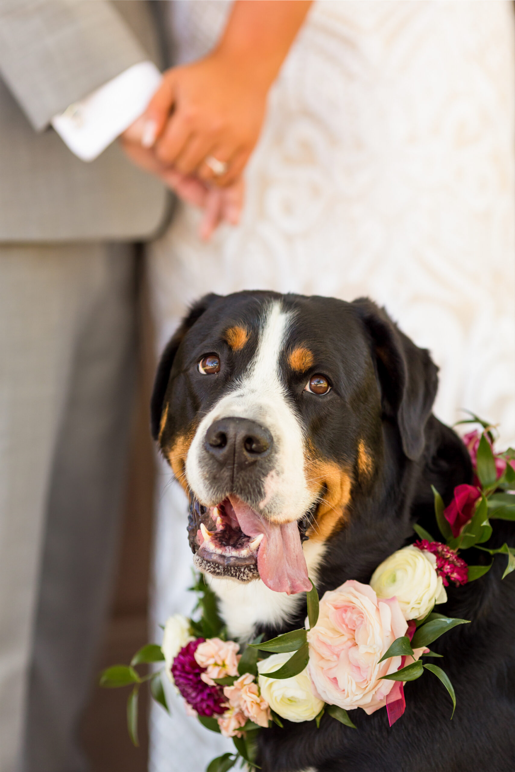 This wedding was at Naylor’s Farm in Parkton Maryland, country wedding, horses, farm life, wedding on the water, ceremony on a lake, cocktail hour outside on the farm, reception in a barn, fall wedding, enjoying the outdoors, the groom did skeet shooting, shooting practice with his dad on the morning of his wedding, Procopio Photography, best top Washington DC photographer, best top Maryland photographer, best top Virginia photographer, best top DMV photographer, best top wedding photographer, best top commercial photographer, best top portrait photographer, best top boudoir photographer, modern fine art portraits, dramatic, unique, different, bold, editorial, photojournalism, award winning photographer, published photographer, memorable images, be different, stand out